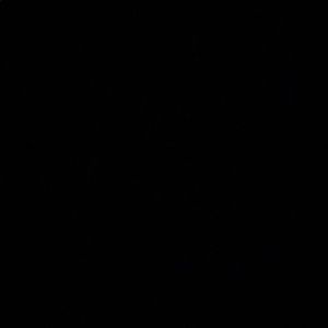 Meet your Posher, Jada